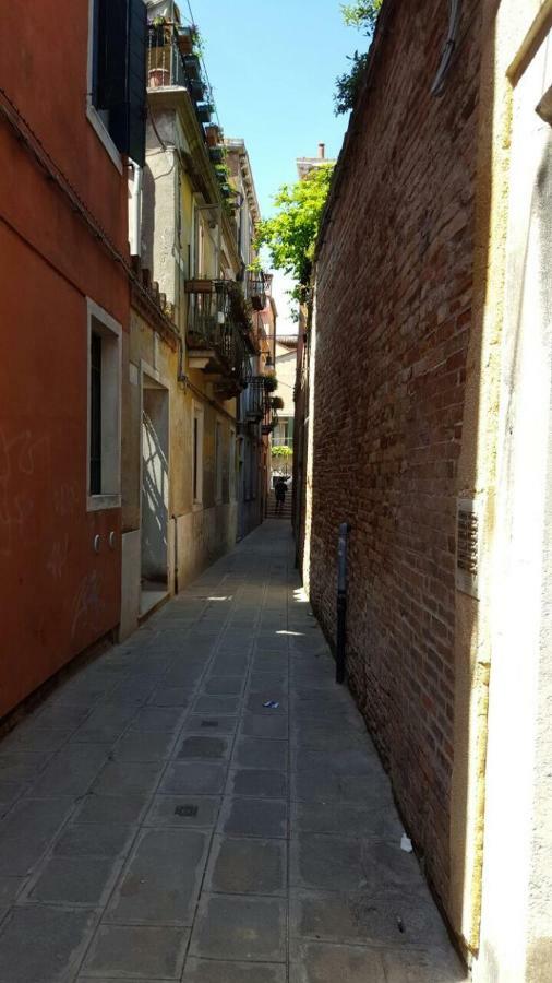 In A Lovely Garden Biennale Flat Venice Exterior photo